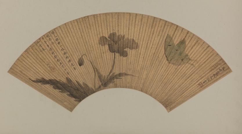 文俶罂粟蛱蝶图扇
