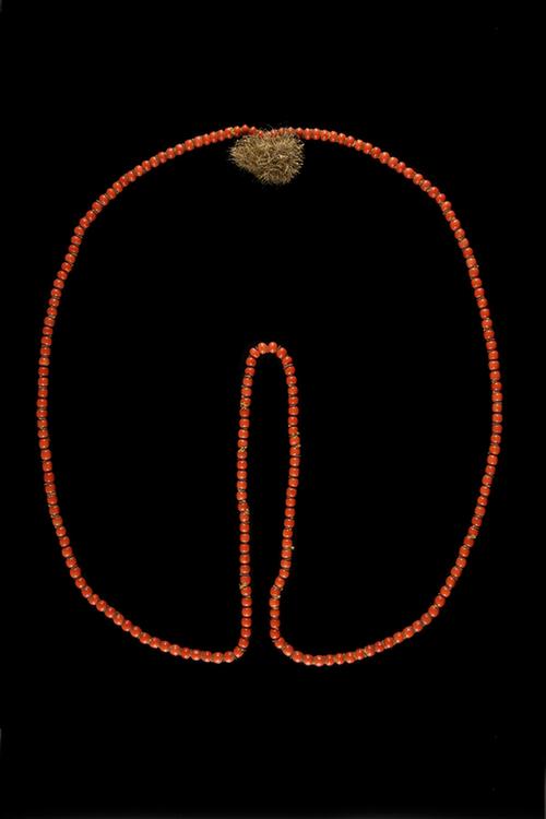 珊瑚数珠