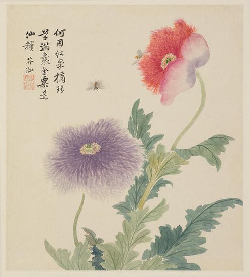 花果草虫册