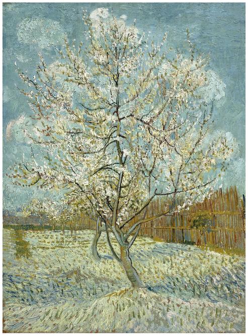 The Pink Peach Tree 1888