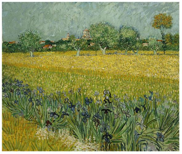 Field with Flowers near Arles 1888