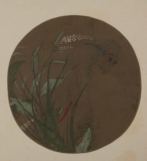 明人红蓼蜻蜓纨页