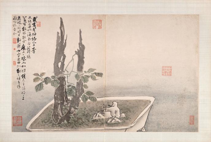 指画系列-指画·盆栽腊梅