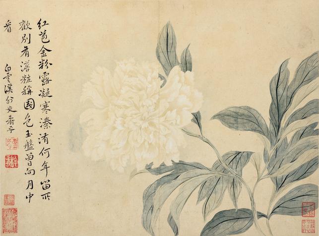 春花图八开-5